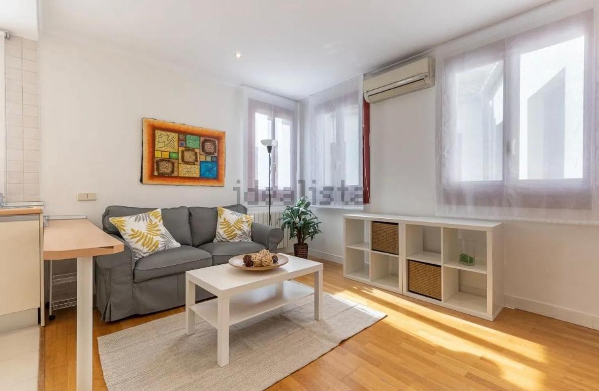 Charming, Bright And Apartamento Madrid
